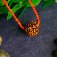Har Ghar Mein Rudraksha - Claim Your Free 5 Mukhi Rudraksha